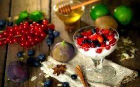 cotta