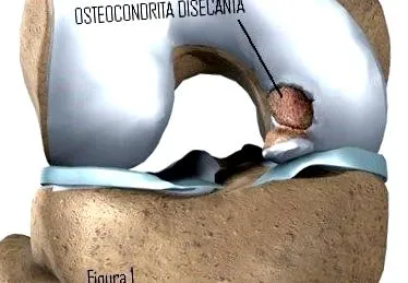 betegségek