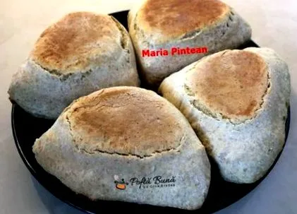 panvici