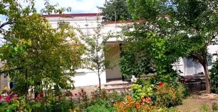szárított