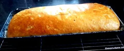 домашен домашен
