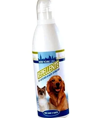 chien