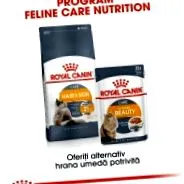 royal intense