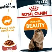 royal intense