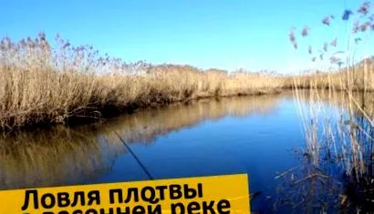 риболовната