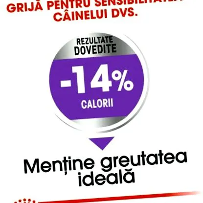 canin