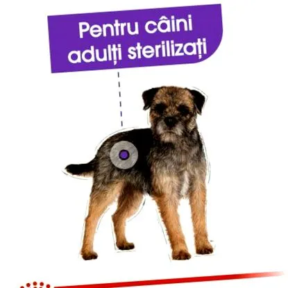 sterilizált
