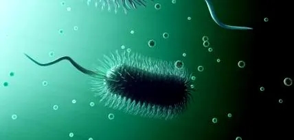 enterocolitis
