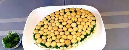 поляна салата