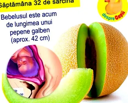 terhesség