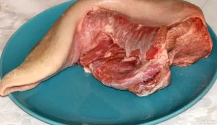 tehénnyel