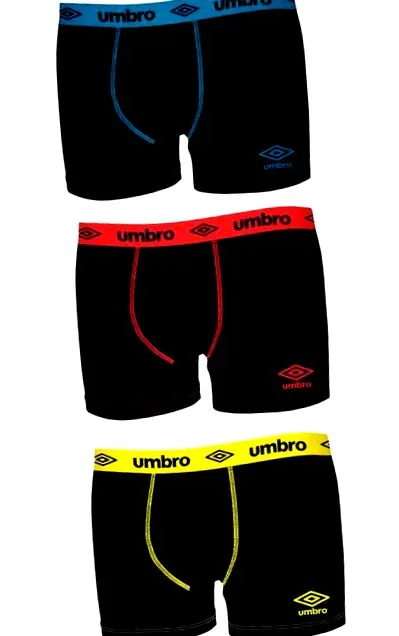 boxer