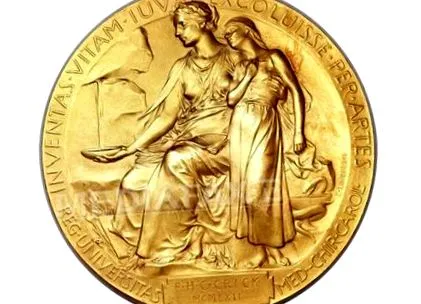 nobel-szezon