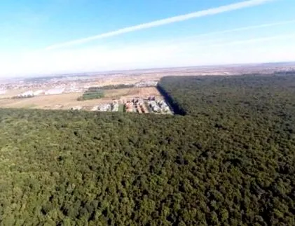 megoldások greenfield