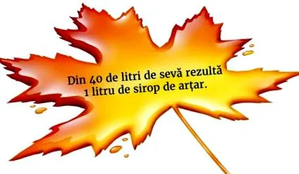 juharszirup