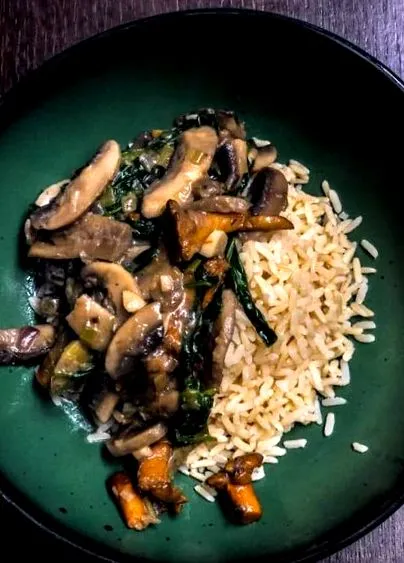 stroganoff