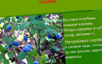 vizsgáljuk hasznos