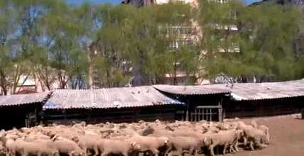 канцеларијата градоначалникот