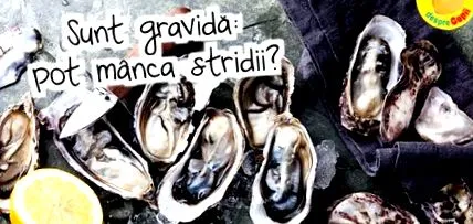 ehetek