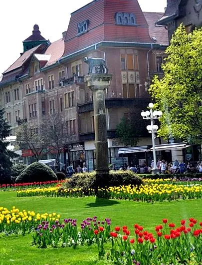 kulináris kulináris