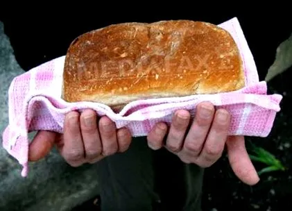 можете