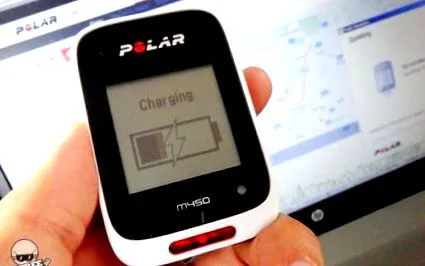 polar