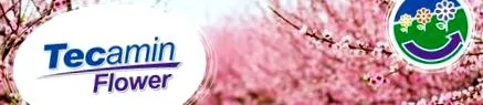tecamin