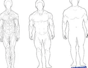 szomatikus endomorf