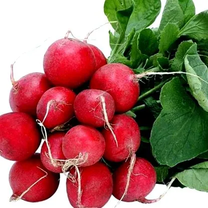 legfontosabb