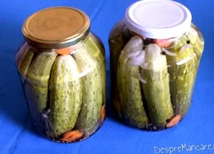 borjú