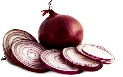szervekhez azokhoz