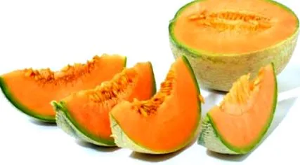 legfontosabb