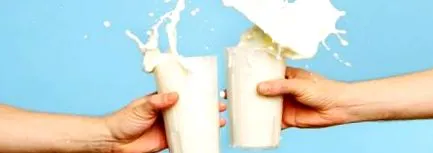 druhy