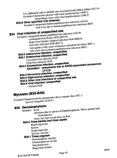 epidermalis