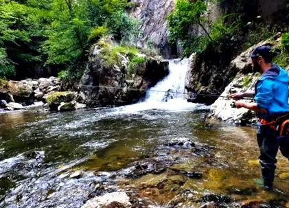 pisztráng hogyan