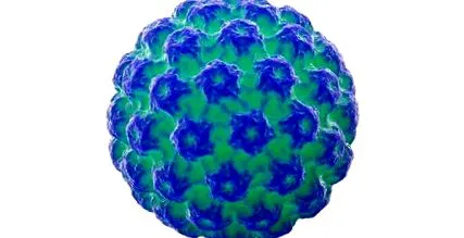 enterobiasis