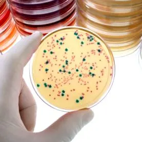 giardiasis