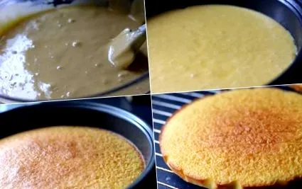 gyönyörködtet