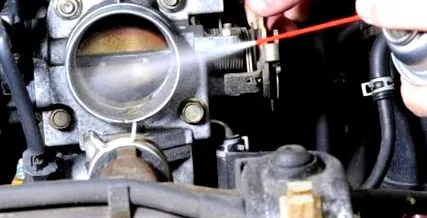 телото гасот