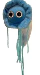 giardia