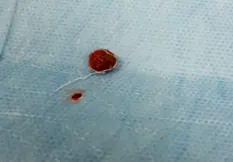klinikai