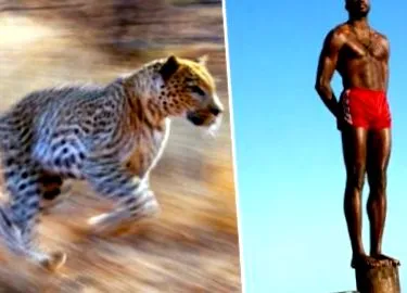 usain