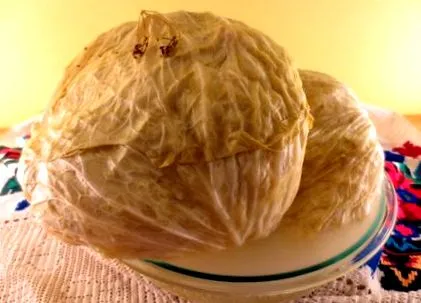 квашена