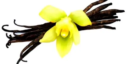 vanília