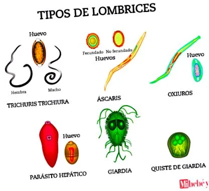 para vermox