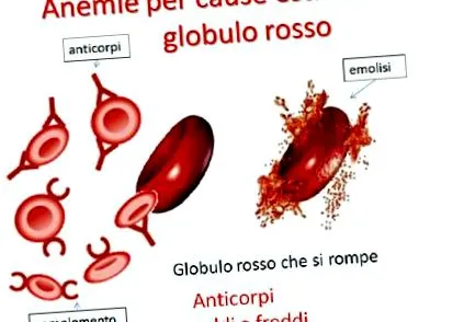 emberi