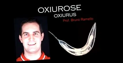 féreg oxiurus