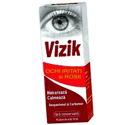 vizik