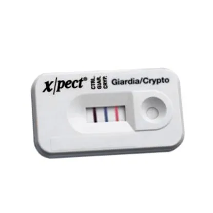 xpect