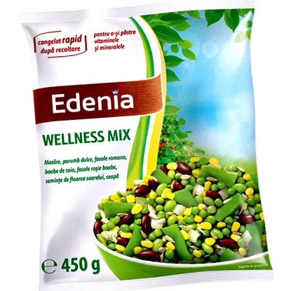 wellness wellness